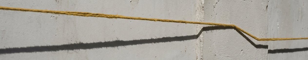 A shallow strip, cropped without retouching from the first cord image.
